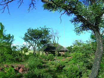 Abloom Bush Lodge & Spa Retreat Cullinan Eksteriør bilde