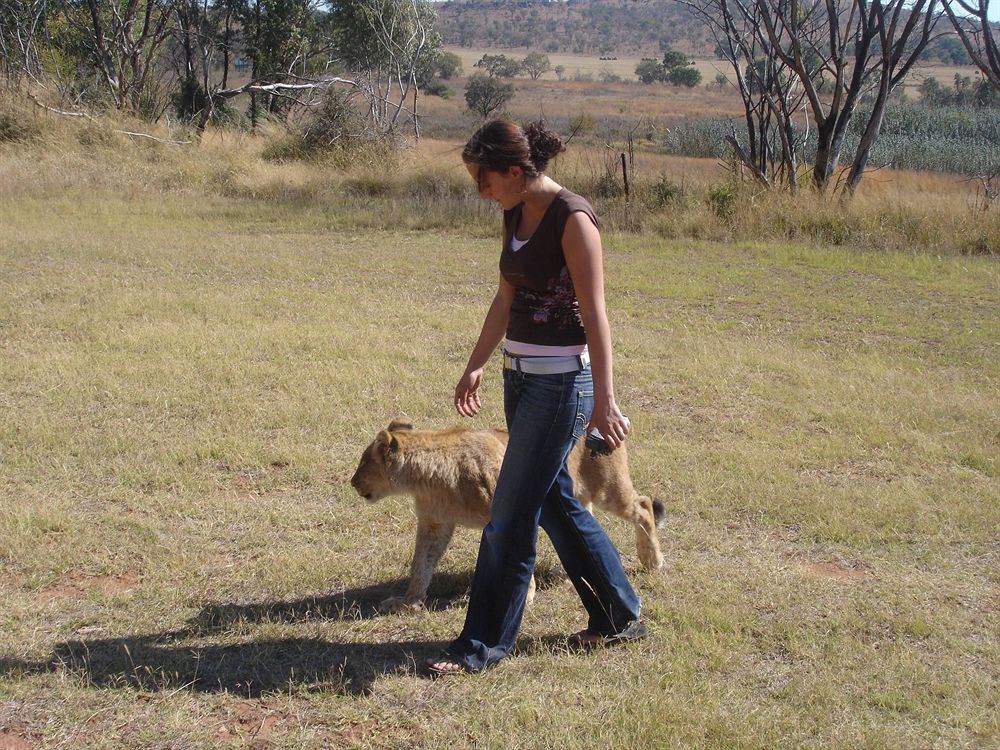 Abloom Bush Lodge & Spa Retreat Cullinan Eksteriør bilde